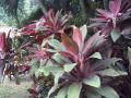Asia 2006, photo 151 of 173