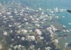 Haiti — April 2011, photo 38 of 40