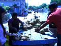 India 2008, photo 34 of 47